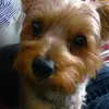 judylilly63 - @judylilly63 - TikTok