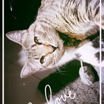 Judy - @judy_linda_ - Instagram