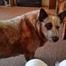 Judy Lind - Facebook