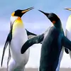 judylindstrom485 - @judylindstrom485 - TikTok