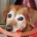 Judith Lindner - Facebook