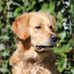 Judith Lindner - Facebook