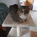 Judy Lindner - Facebook