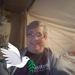 Judy Liner - @catsmeow286 - Instagram