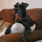 Judy McCormick Lippoldt - @judy.lippoldt - Instagram