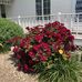 Judy Logsdon - Facebook