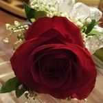 Judy Lott - @imafrnd4u2 - Instagram