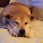 Judy Lott - @judylott126 - Instagram