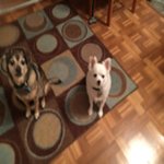 Judy Lott - @judy_lott - Instagram