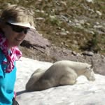 Judy Wills Lowder - @drjudyl - Instagram