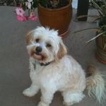 Judy Lyman - @jjl618 - Instagram