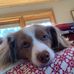Judy Lyman - Facebook