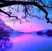 Judy MacGregor - Facebook
