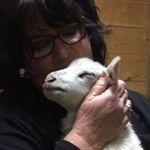 Judy Mackenzie - @mackenzie_mama3 - Instagram