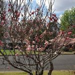 Judy Maher - @judy.maher.79 - Instagram