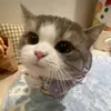 Judy Maher - @judy.maher73 - TikTok