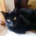Judy Malin Kennedy - Facebook