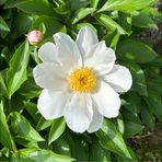 Judy Manners - Facebook
