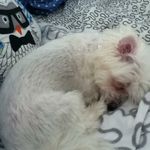 JimnJudy Markham - @jimnjudymarkham - Instagram