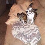 @judy.markham.73 - Instagram