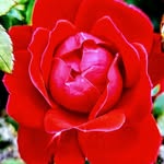 Judy Markham - @judymarkham14 - Instagram