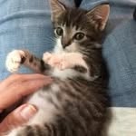 Judy Markham Henson - @judyhenson71 - Instagram