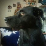 judymarkle - @judymarkle6128 - Instagram