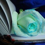 Judy Martel - @jmartel5959 - Instagram