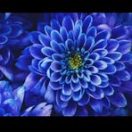 Judy Matlock - Facebook