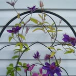 Judy Matlock - Facebook