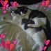 Judy Maxey - Facebook