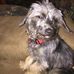 Judy Mcbee - Facebook