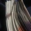 Jude Mccormack - @jude.mccormack - TikTok