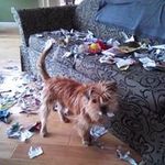 Judy McCormack - @judymac326 - Instagram