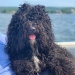 Judy McMaster Descutner - @hickorytavernfarm - Instagram