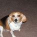 Judy McNally - Facebook