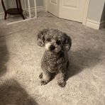 Judy Meiners - Facebook