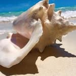 Judy Millard - @judylmillard - Instagram