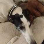 Judy Mock - @judymock51 - Instagram