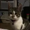 Judy Mock - @judy.mock - TikTok