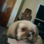 Judy Mock Powell - @mockpowell - Instagram