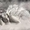 judymmuniz - @judymmuniz - TikTok