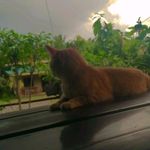 Judy😺 - @judy.navag - Instagram
