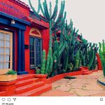 Judy Nava De Veer - @judynavadeveer - Instagram