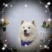 Judy Neff - Facebook