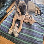 Judy Binns Nemeth - Facebook