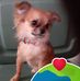 Judy Nickerson - Facebook