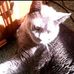 Judy Nickerson - Facebook