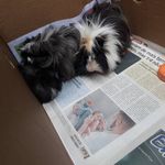 @Judy_Josh_Noah - @judy.josh.noah - Instagram