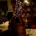 Judy Nolan - Facebook